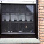 Fliegengitter an einem Fenster